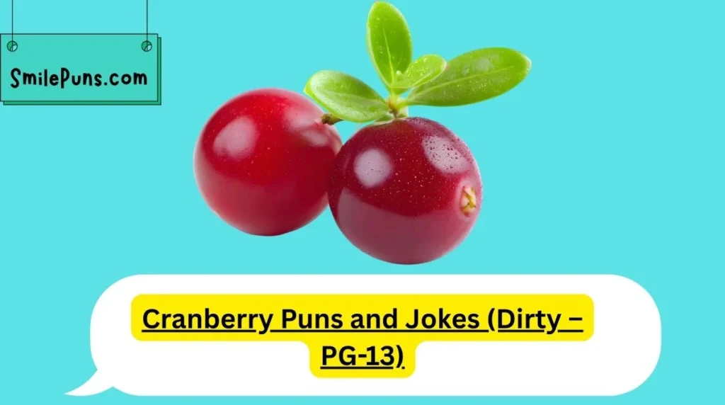 Cranberry Puns and Jokes (Dirty – PG-13)