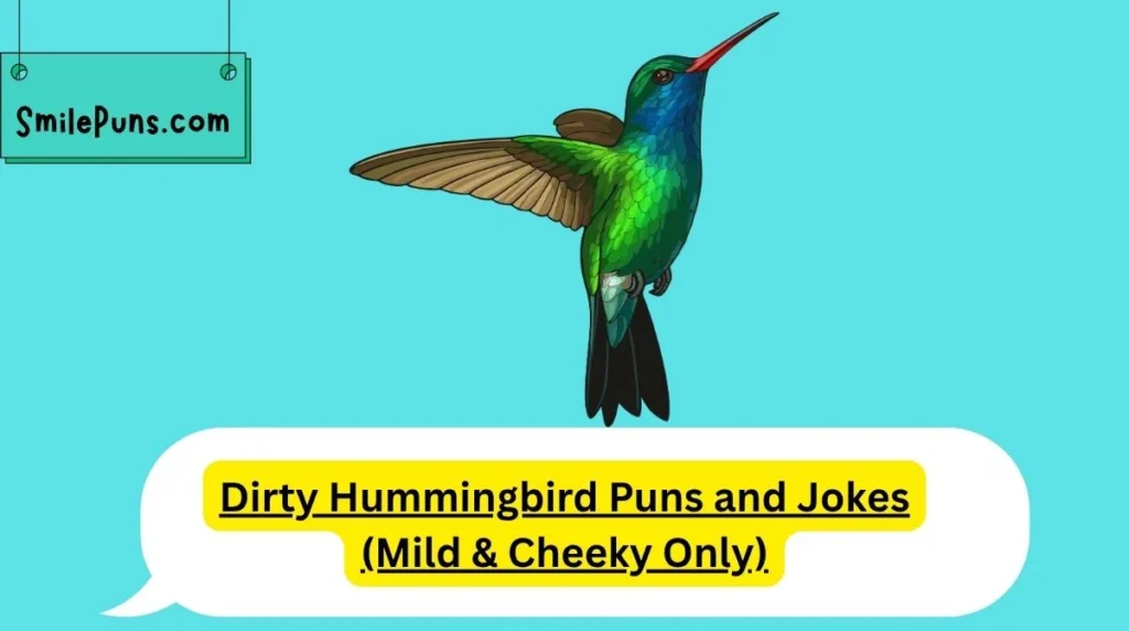 Dirty Hummingbird Puns and Jokes (Mild & Cheeky Only)