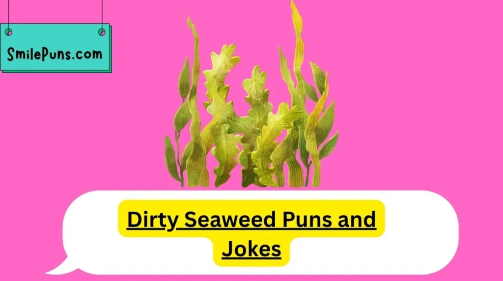 Dirty Seaweed Puns and Jokes