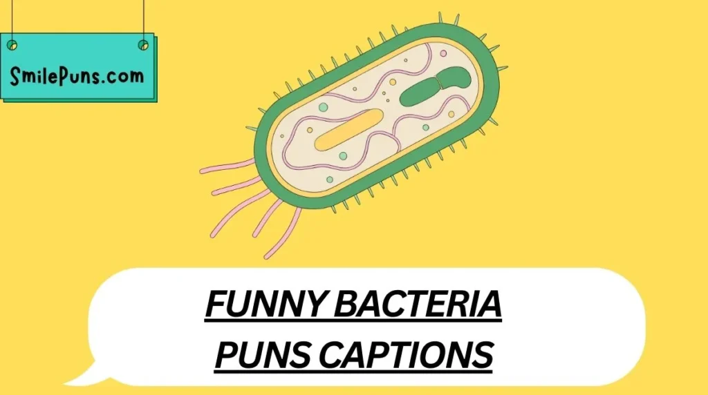 Funny Bacteria Puns Captions