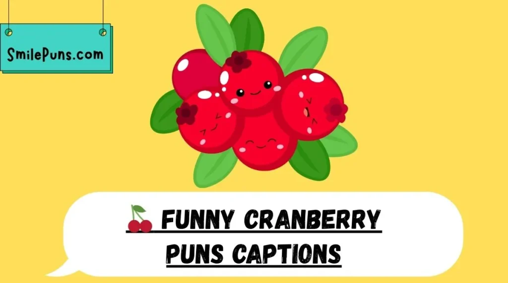 🍒 Funny Cranberry Puns Captions