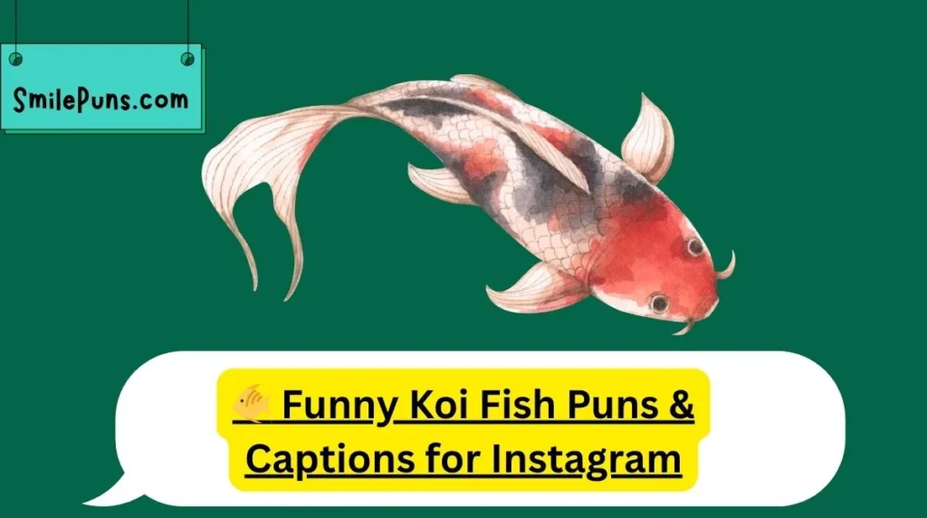 🐠 Funny Koi Fish Puns & Captions for Instagram