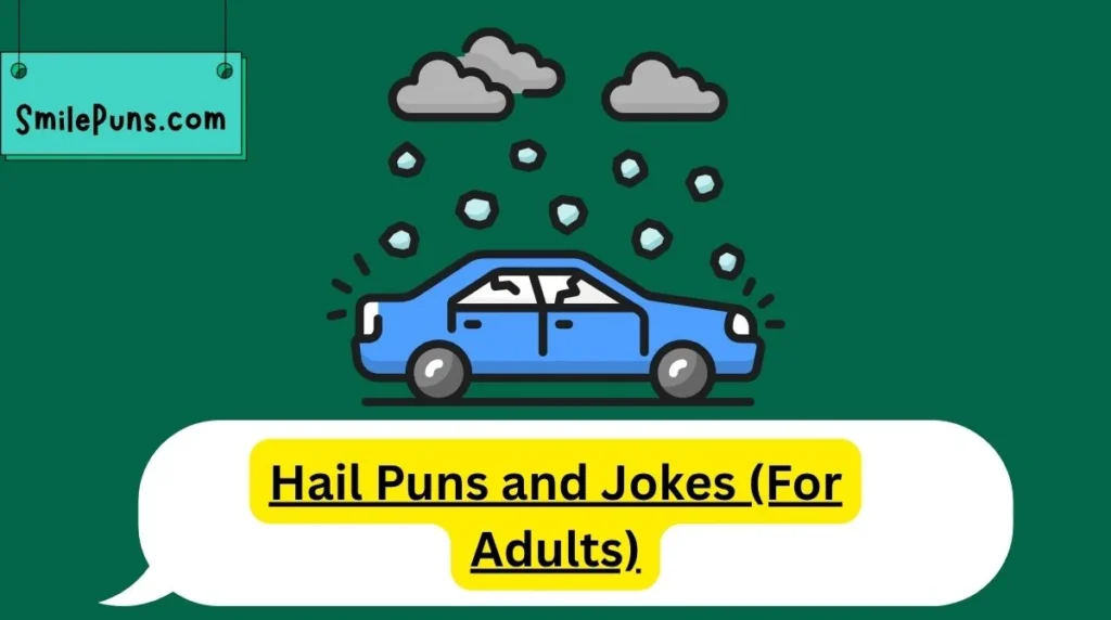 Hail Puns and Jokes (For Adults)