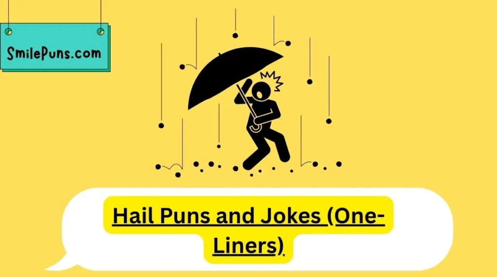 Hail Puns and Jokes (One-Liners)