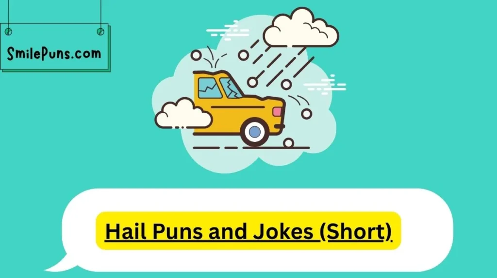 Hail Puns and Jokes (Short)