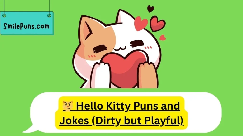 😼 Hello Kitty Puns and Jokes (Dirty but Playful)