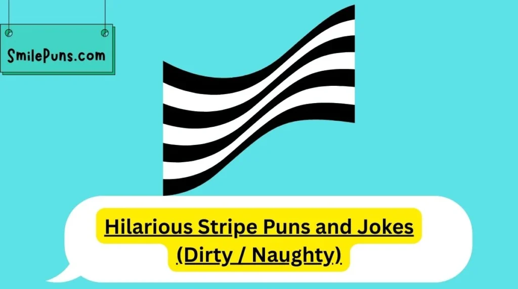 Hilarious Stripe Puns and Jokes (Dirty / Naughty)