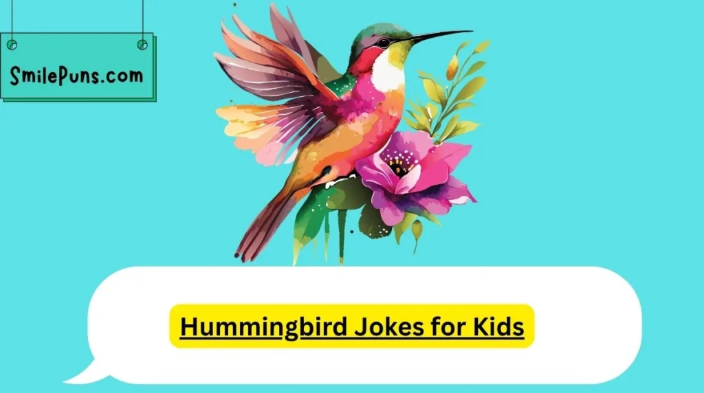 Hummingbird Jokes for Kids