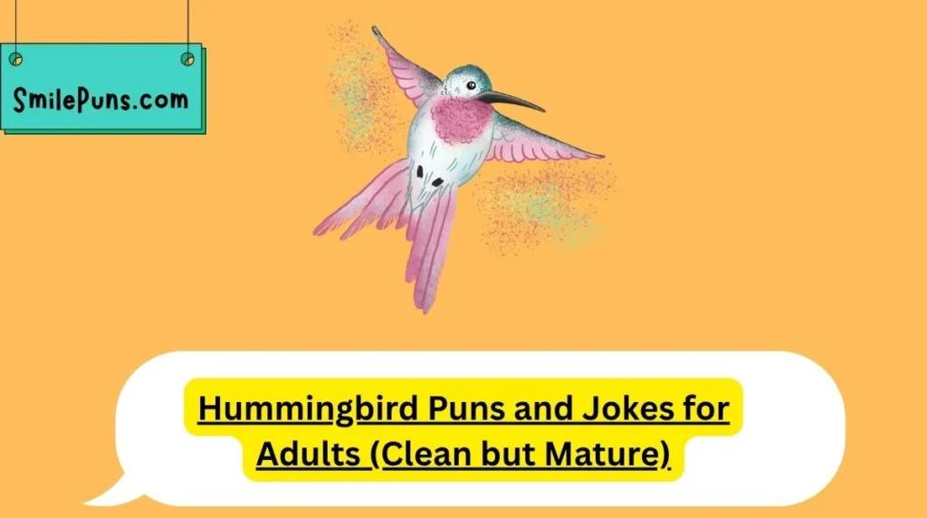 Hummingbird Puns and Jokes for Adults (Clean but Mature)
