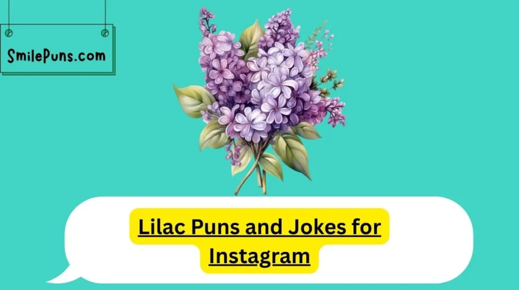 Lilac Puns and Jokes for Instagram