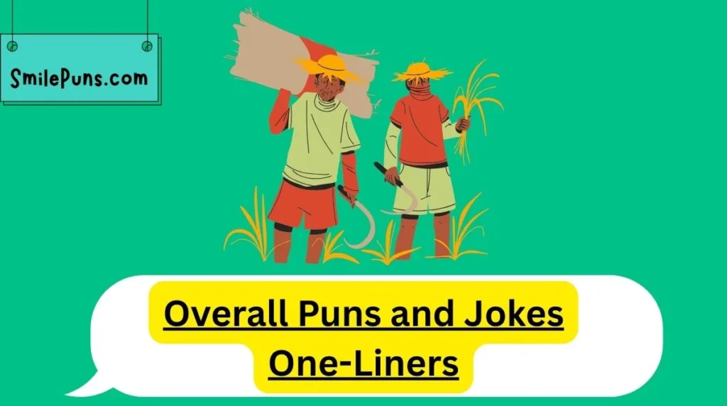 Overall Puns and Jokes One-Liners