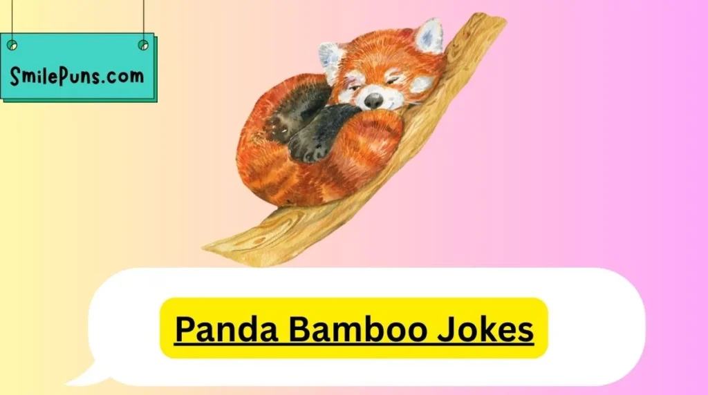 Panda Bamboo Jokes