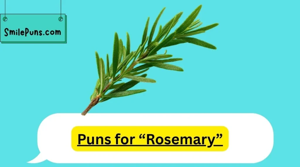 Puns for “Rosemary”
