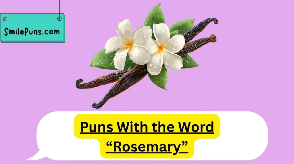 Puns With the Word “Rosemary”