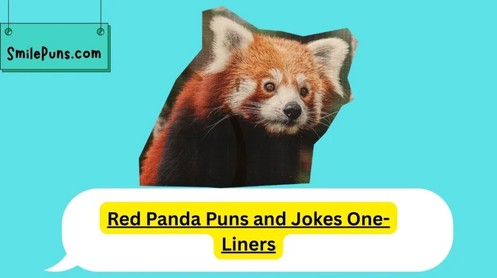 Red Panda Puns and Jokes One-Liners