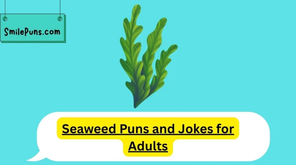 Seaweed Puns and Jokes for Adults