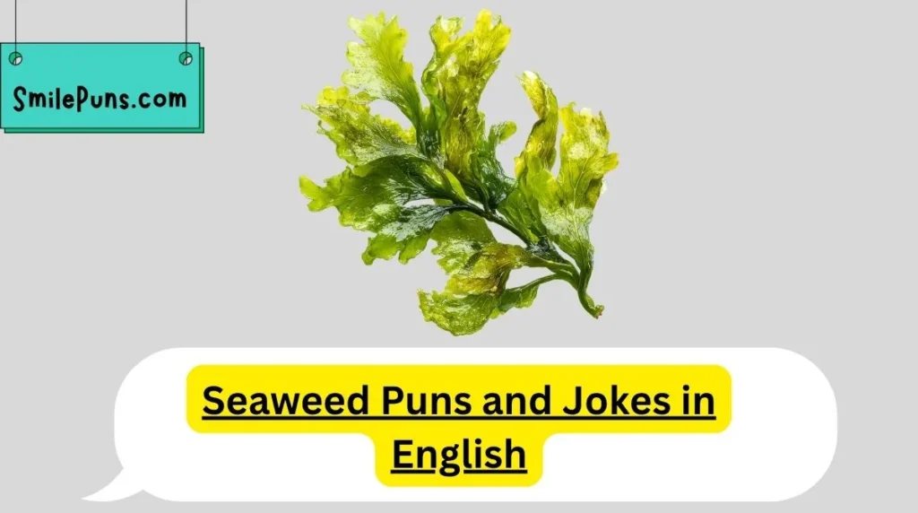 Seaweed Puns and Jokes in English