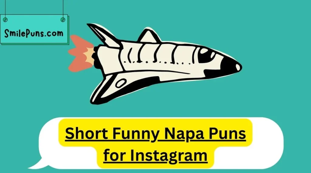 Short Funny Napa Puns for Instagram