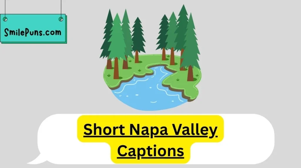 Short Napa Valley Captions