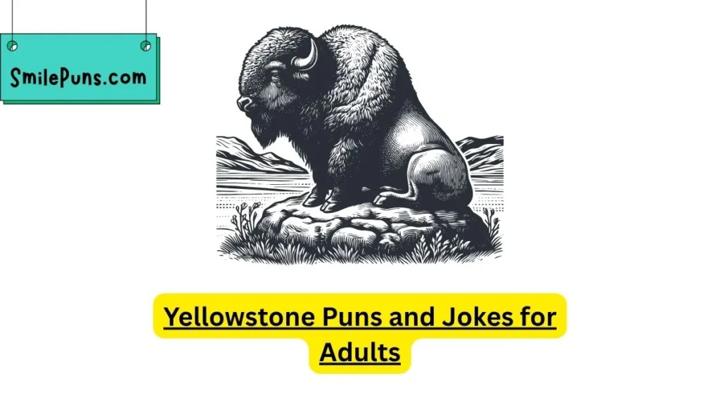 Yellowstone Puns and Jokes for Adults