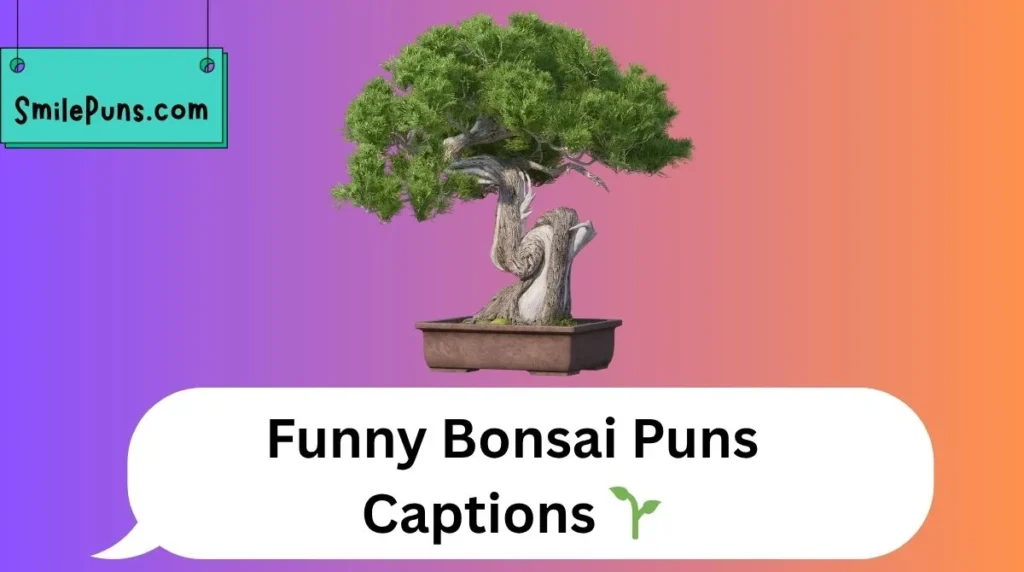 Funny Bonsai Puns Captions 🌱