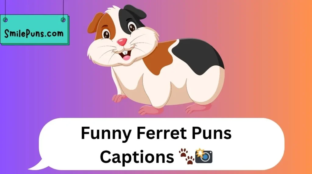 Funny Ferret Puns Captions 🐾📸