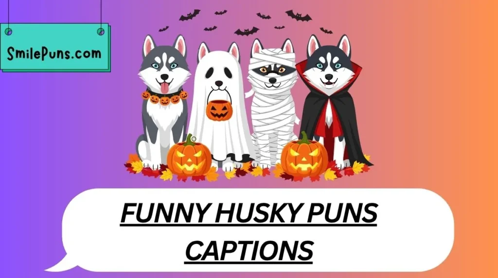 Funny Husky Puns Captions