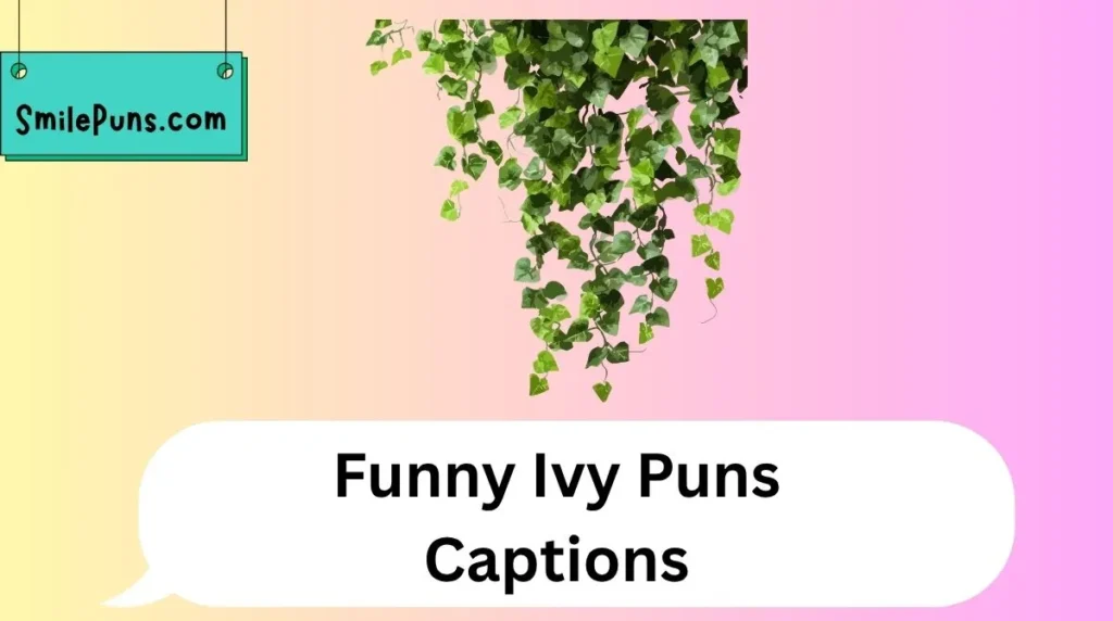 Funny Ivy Puns Captions