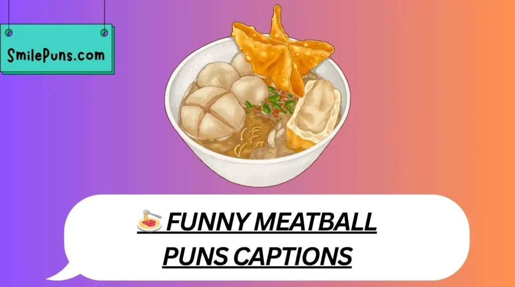 🍝 Funny Meatball Puns Captions