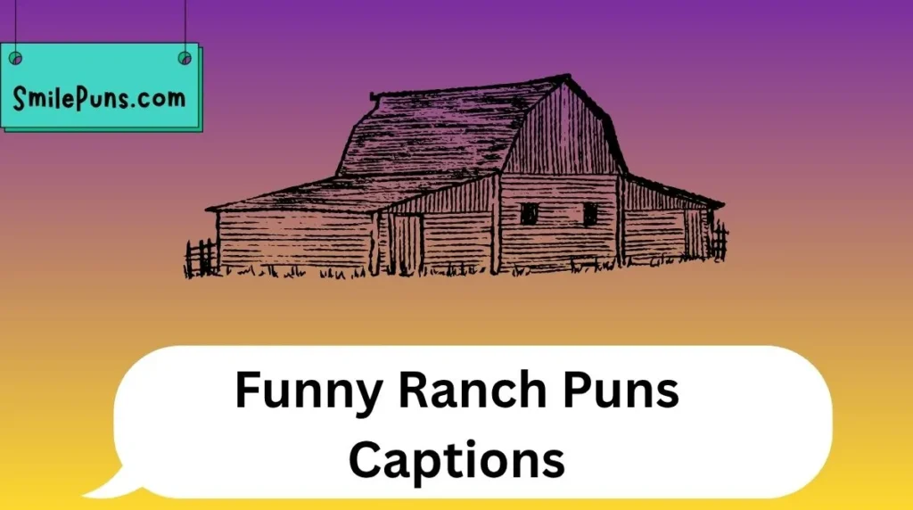Funny Ranch Puns Captions