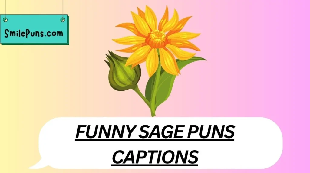 Funny Sage Puns Captions
