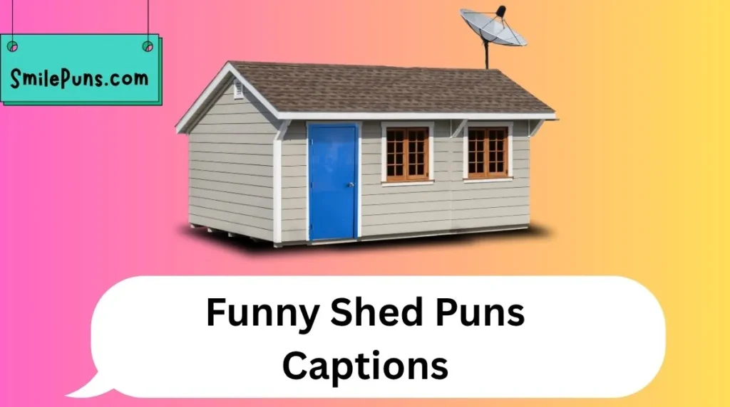 Funny Shed Puns Captions