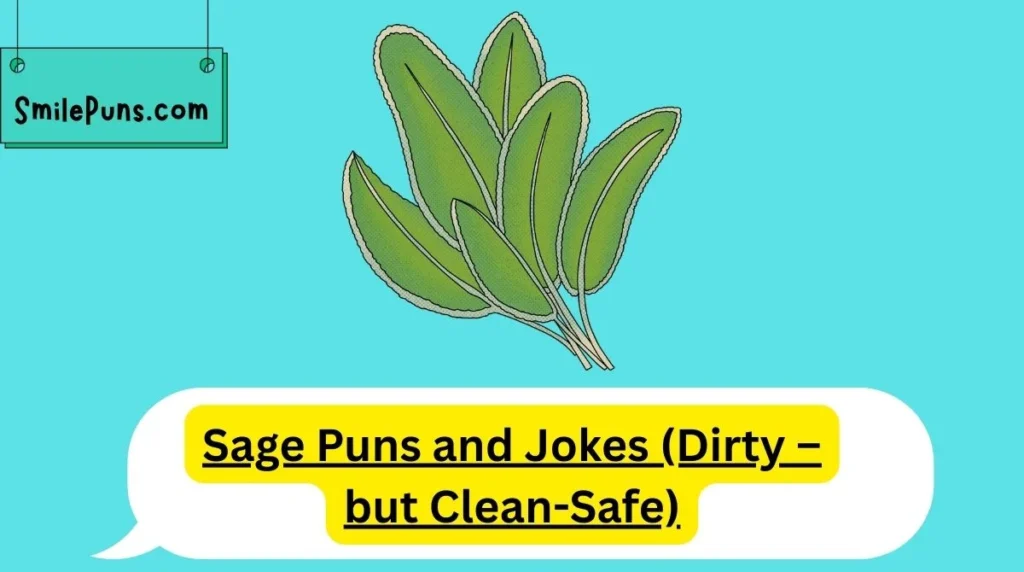 Sage Puns and Jokes (Dirty – but Clean-Safe)