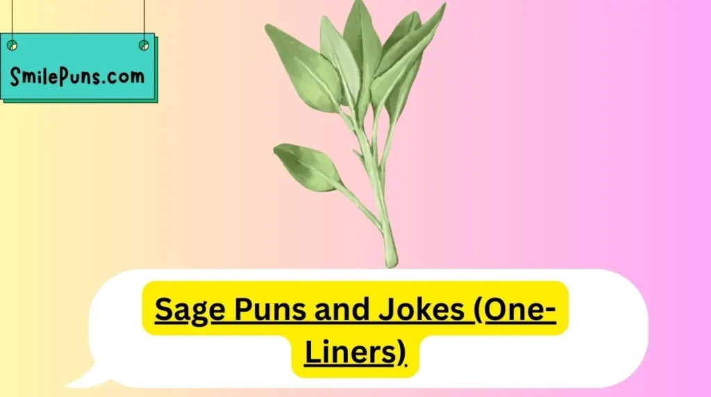 Sage Puns and Jokes (One-Liners)