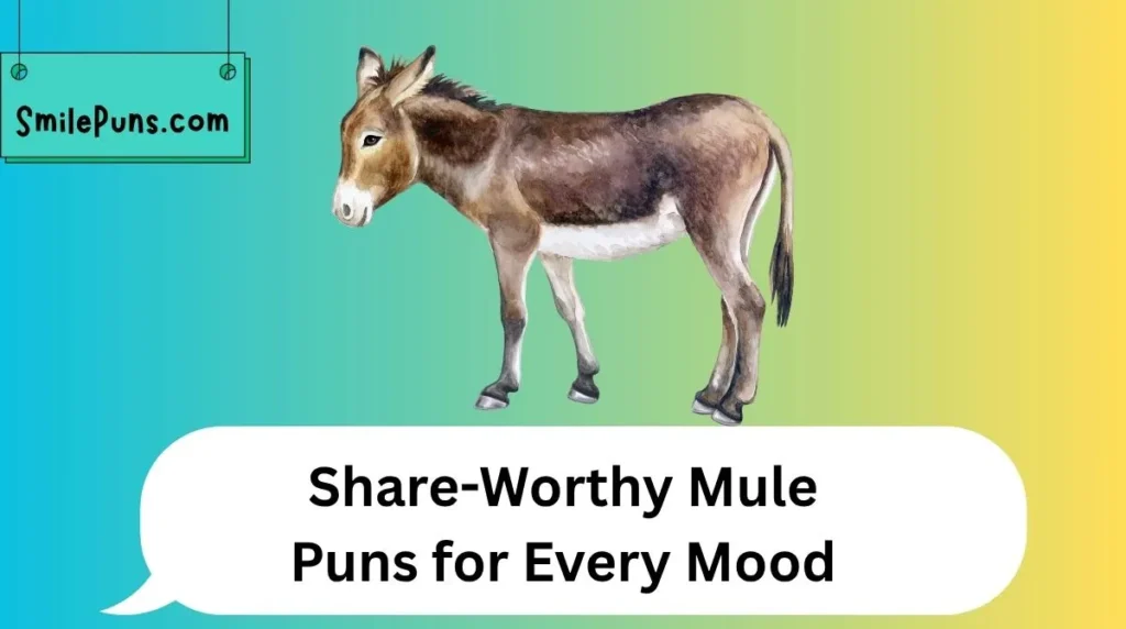 Share-Worthy Mule Puns for Every Mood