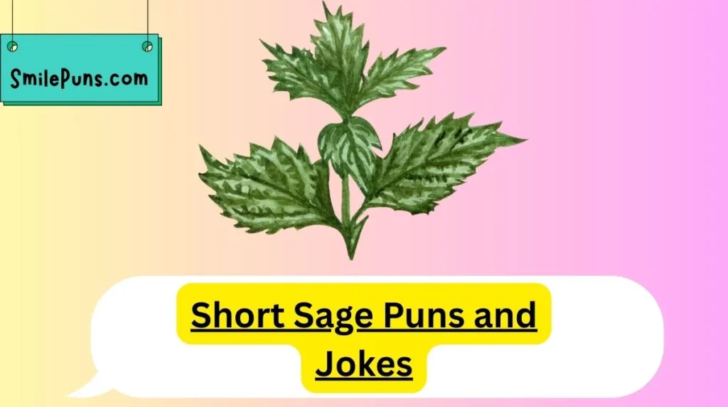 Short Sage Puns and Jokes