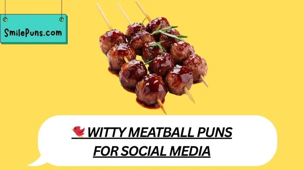 🐦 Witty Meatball Puns for Social Media
