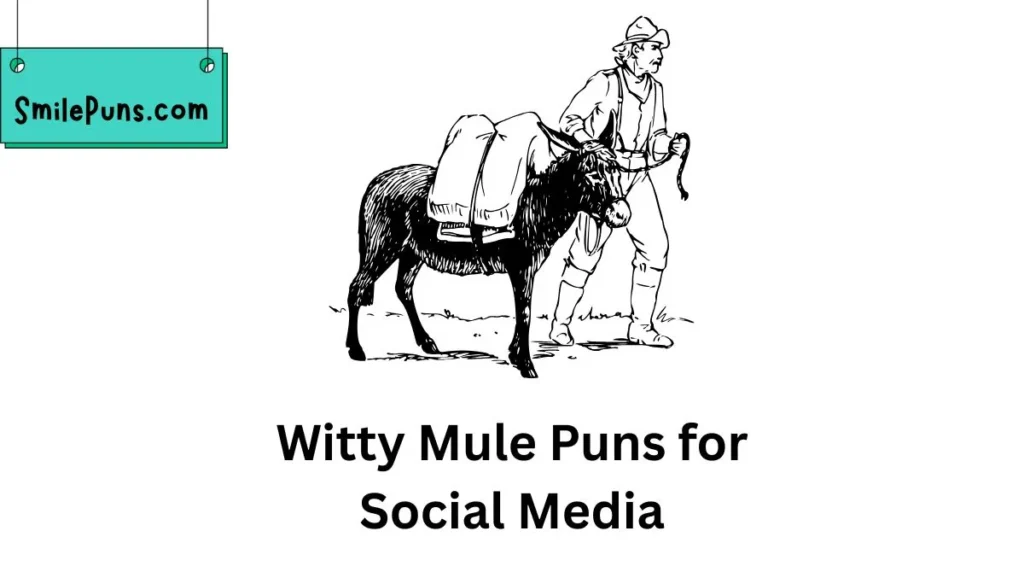 Witty Mule Puns for Social Media