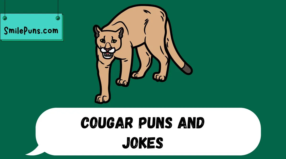 Cougar Puns and Jokes