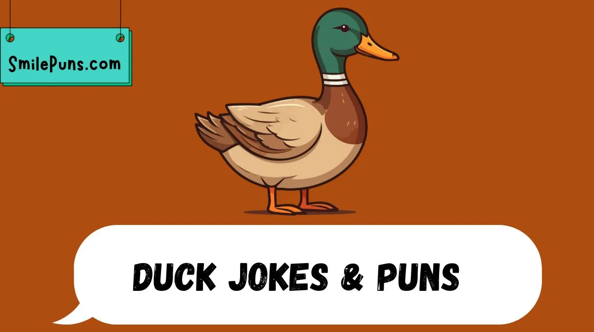 Duck Jokes & Puns
