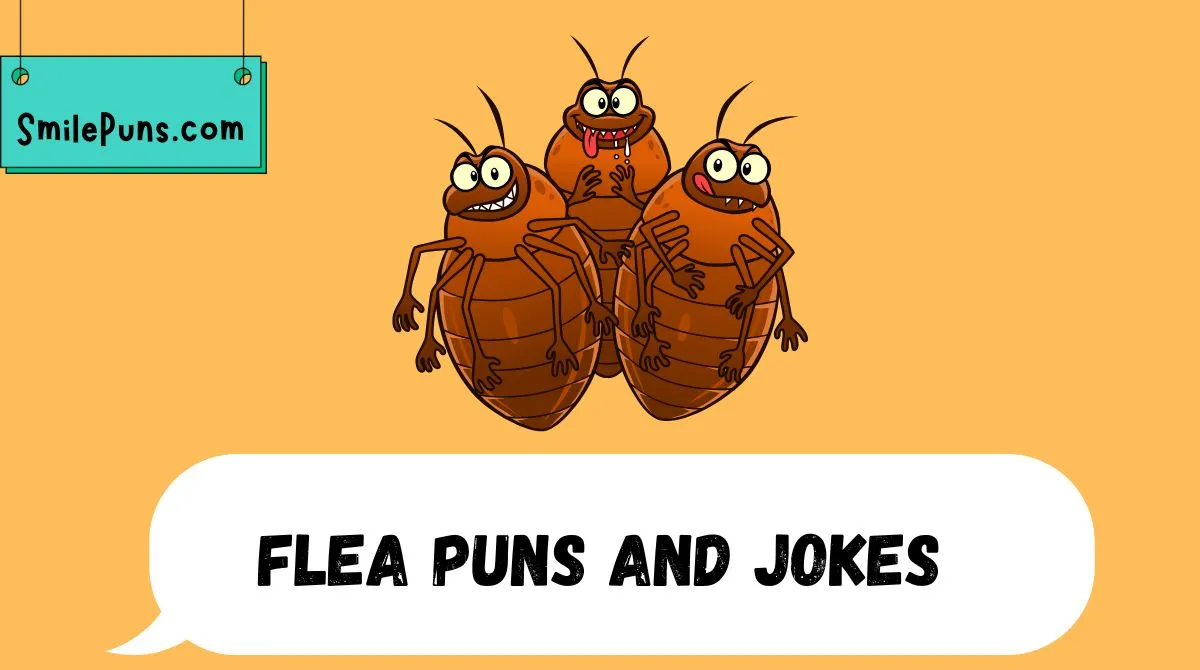 Flea Puns and Jokes