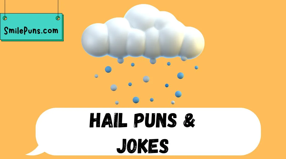 Hail Puns & Jokes