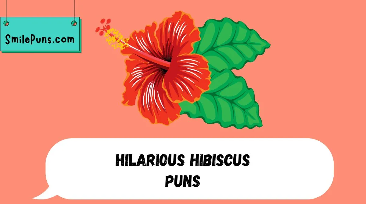 Hilarious Hibiscus Puns & Jokes
