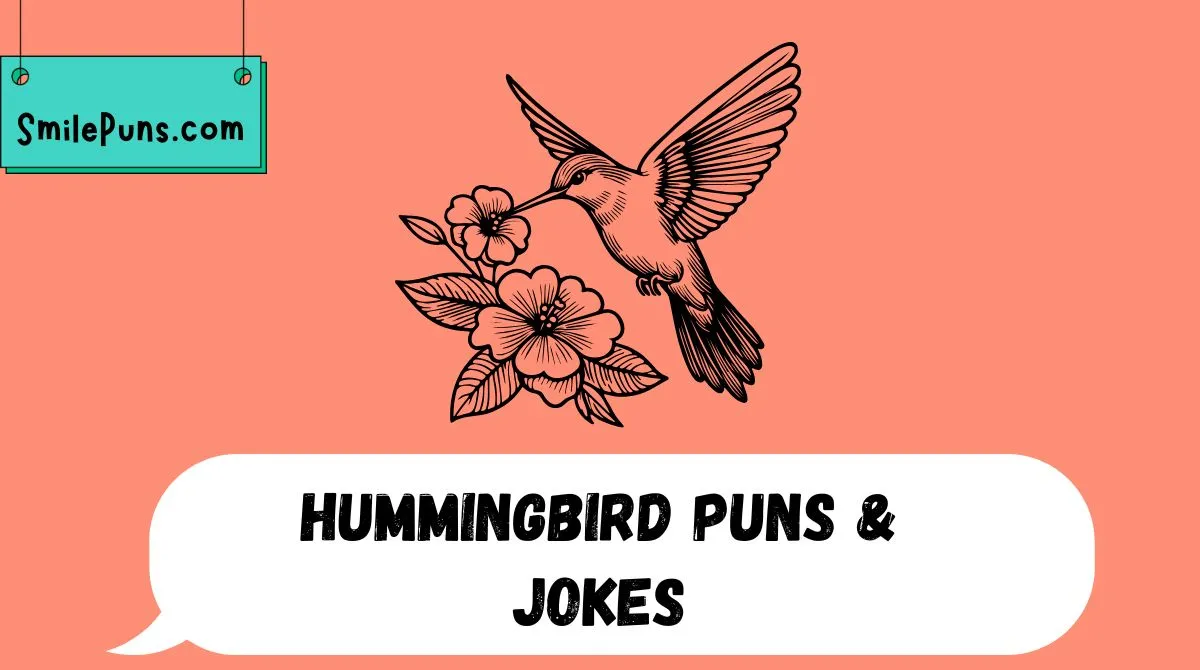 Hummingbird Puns & Jokes