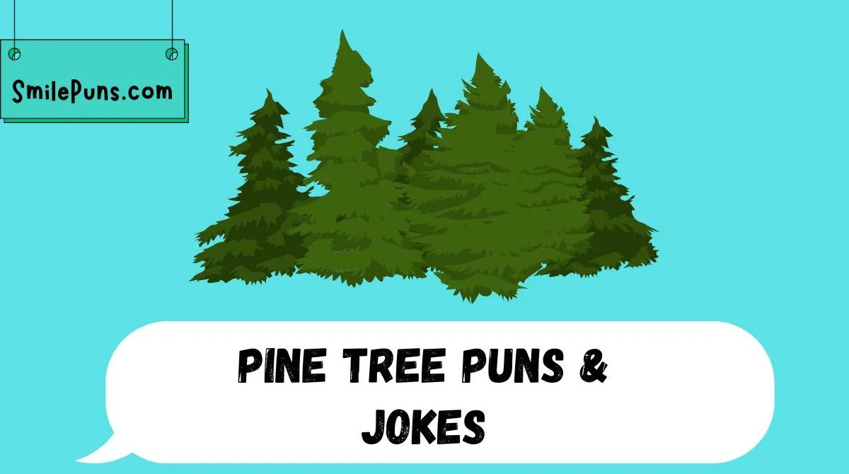 Pine Tree Puns & Jokes