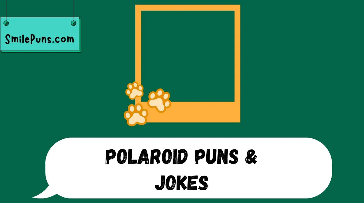 Polaroid Puns & Jokes