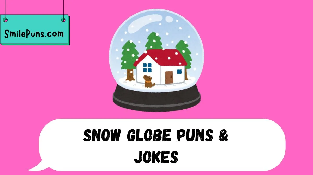 Snow Globe Puns & Jokes