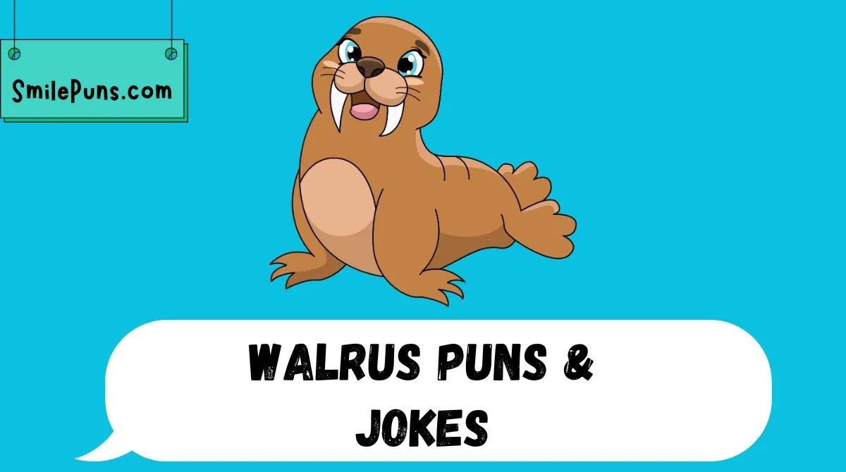 Walrus Puns & Jokes