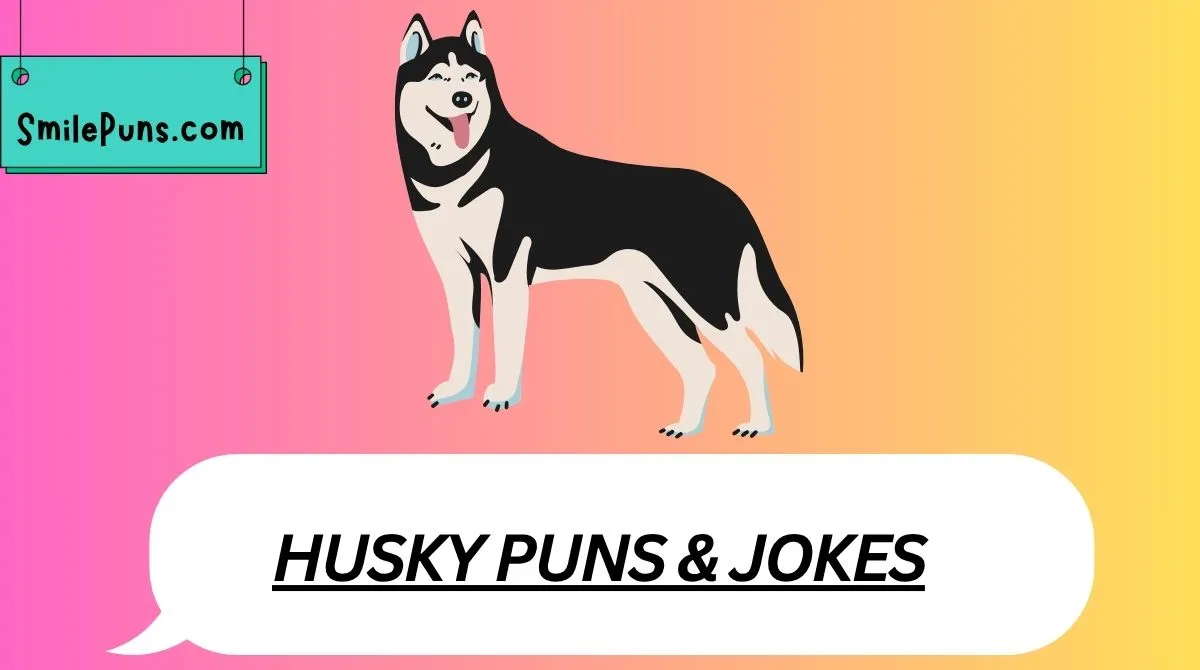 Husky Puns & Jokes