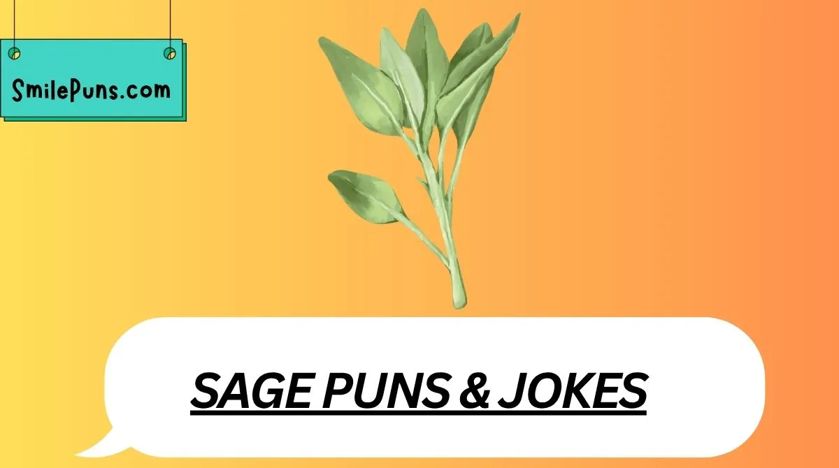 Sage Puns & Jokes